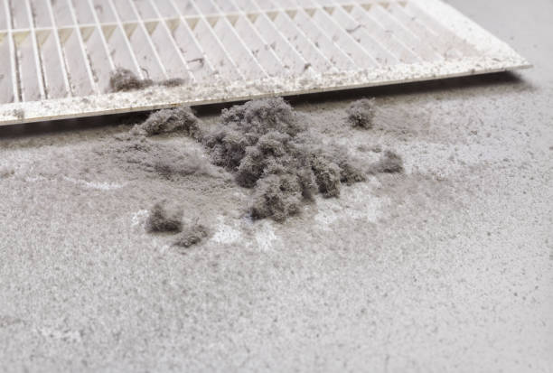 Best Affordable HVAC Duct Cleaning  in Walker, MI