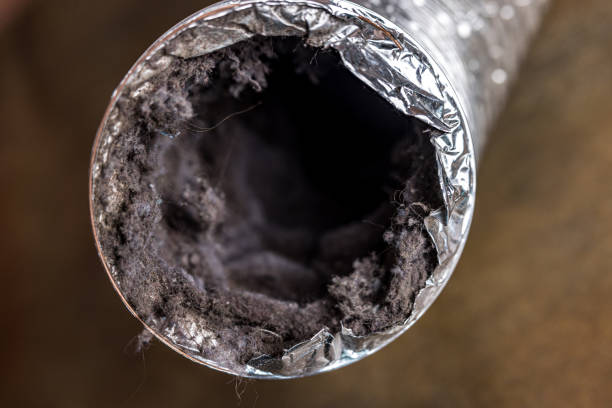 Best Affordable HVAC Duct Cleaning  in Walker, MI