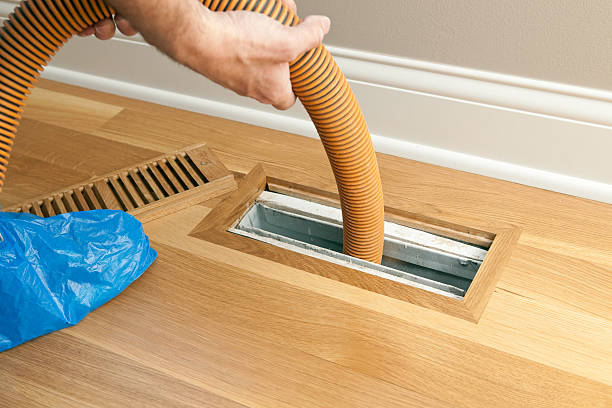 Best Air Duct Sanitizing Services  in Walker, MI